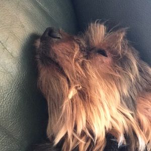 Meet your Posher, Laura